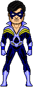Nightwing TD.gif (3 KB)