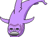 Shark Wilson