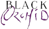 Blackorchid-logo