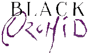 Blackorchid-logo
