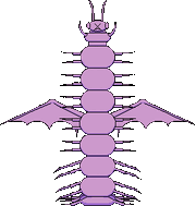 SuperbugCJE.gif (4 KB) Superbug