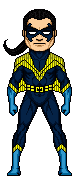 Nightwing3562.gif (3 KB)
