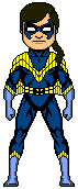Nightwing2ndcostume-DavidLucero.gif (2 KB)