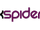 Black Spider