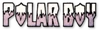 Polar boy logo