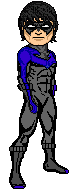 Nightwing Robin.gif (2 KB)