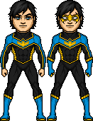 Superwing (Dick Grayson) (my version).png (6 KB) Superwing
