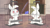Tumblr pojhqrzmI81w85n2x 1280(1)