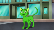 Beast Boy as Cat