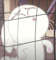 Screenshot (51)