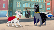 Ace, Krypto and Roz in Gone to the Dogs Pt. 2