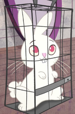 Screenshot (61)