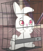 Screenshot (27)