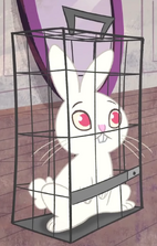 Screenshot (245)