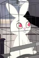 Screenshot (31)