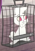 Screenshot (59)