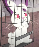 Screenshot (33)