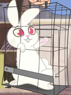 Screenshot (246)