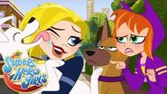 Dog-Off 🐶 DC Super Hero Girls