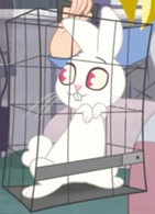 Screenshot (66)