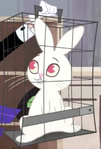Screenshot (62)