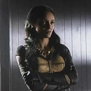 Vixen Kampfunterstützung 2016 -