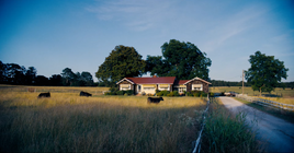 Granja Kent