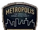 Departamento de Policía de Metrópolis
