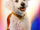Krypto