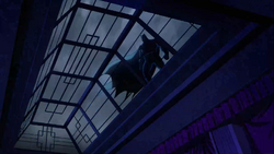 Batman sorprende a Sartorius