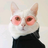 Geminem's avatar