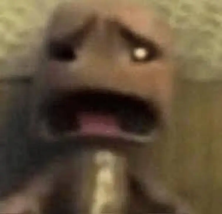 Me watching as my John Reprieve pins on Pinterest get hidden | Fandom