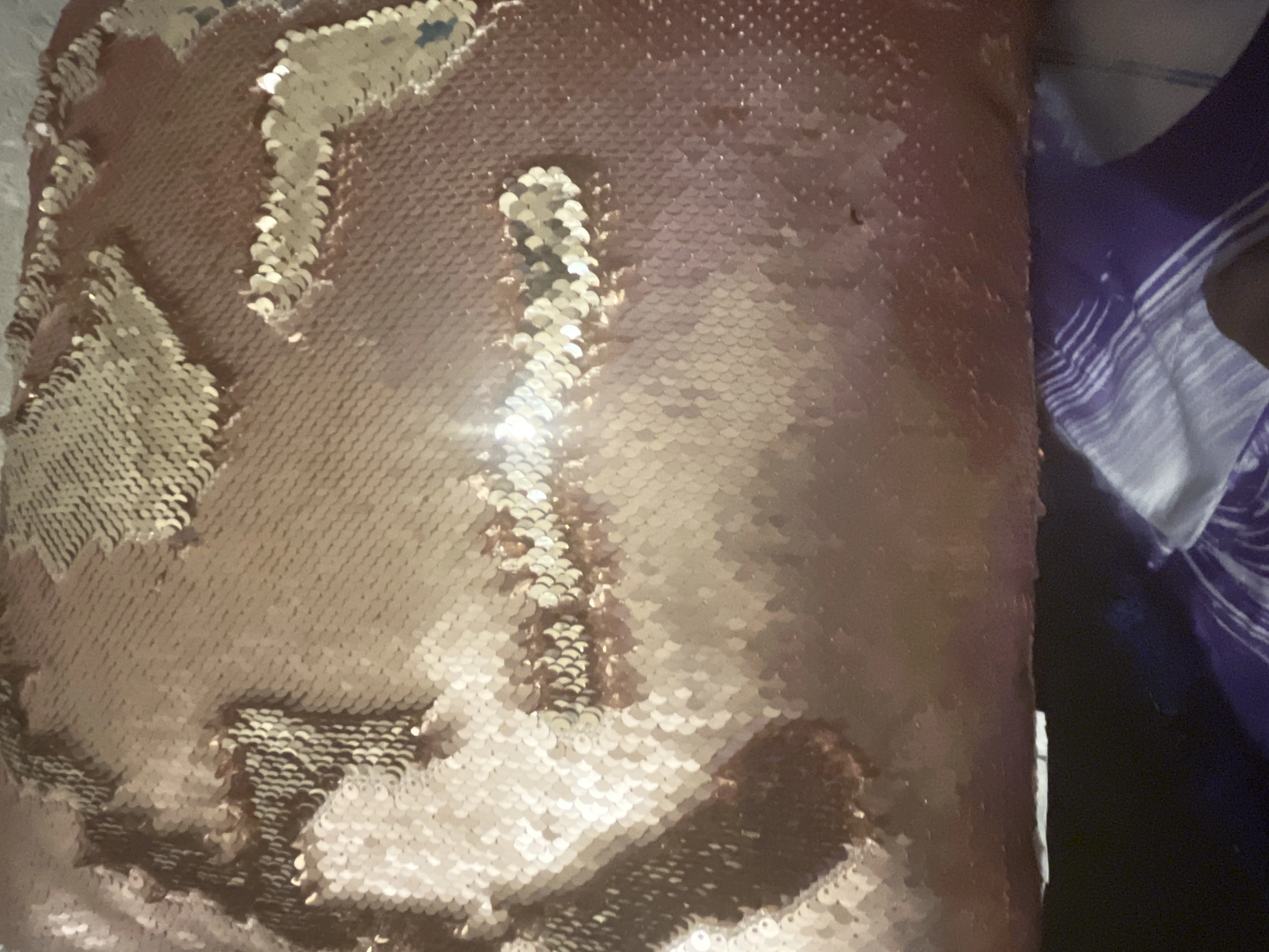 Rui pillow (bad) | Fandom