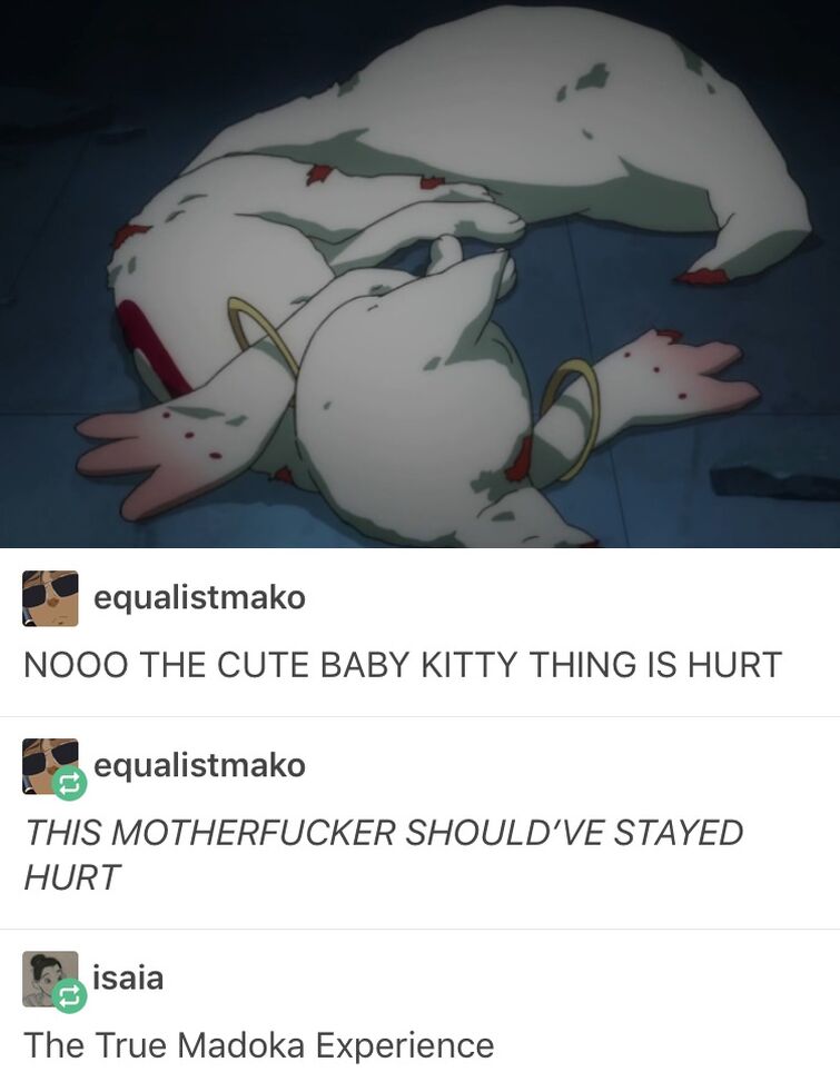 Kyubey Memes Fandom