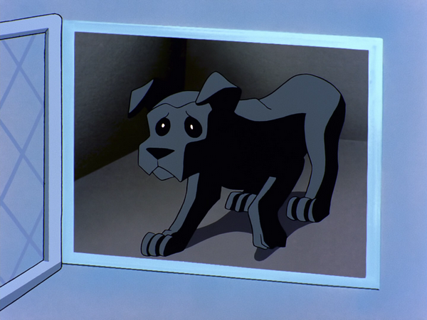 Ace (dog) | DC Animated Universe | Fandom