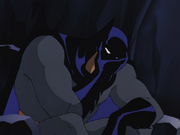 Batman contemplates his life