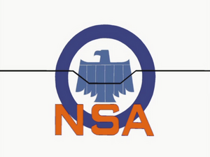 NSA logo