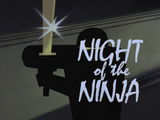 Night of the Ninja