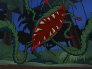 The carnivorous plant used by  to kill intruders.