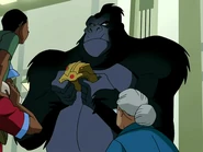 Gorilla Grodd display.