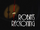 Robin's Reckoning