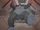 Grodd's defeat.png
