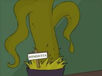 Mimmitia