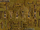 Avatar-Title Card.png
