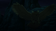 As an owl