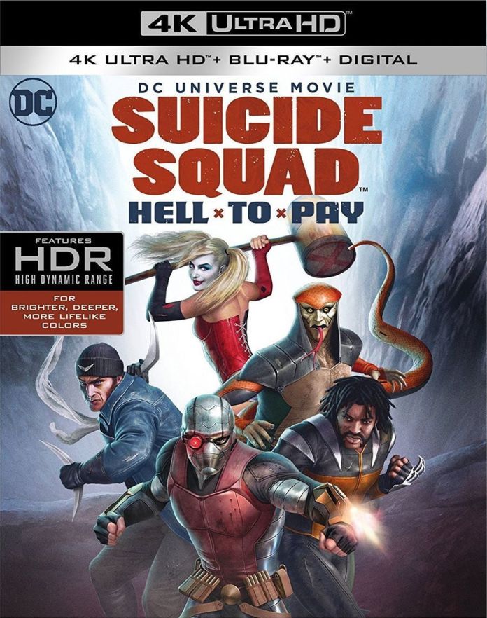 Suicide Squad: Hell to Pay - Wikipedia