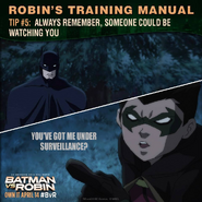 Batman vs. Robin Robin's training manual tip 5