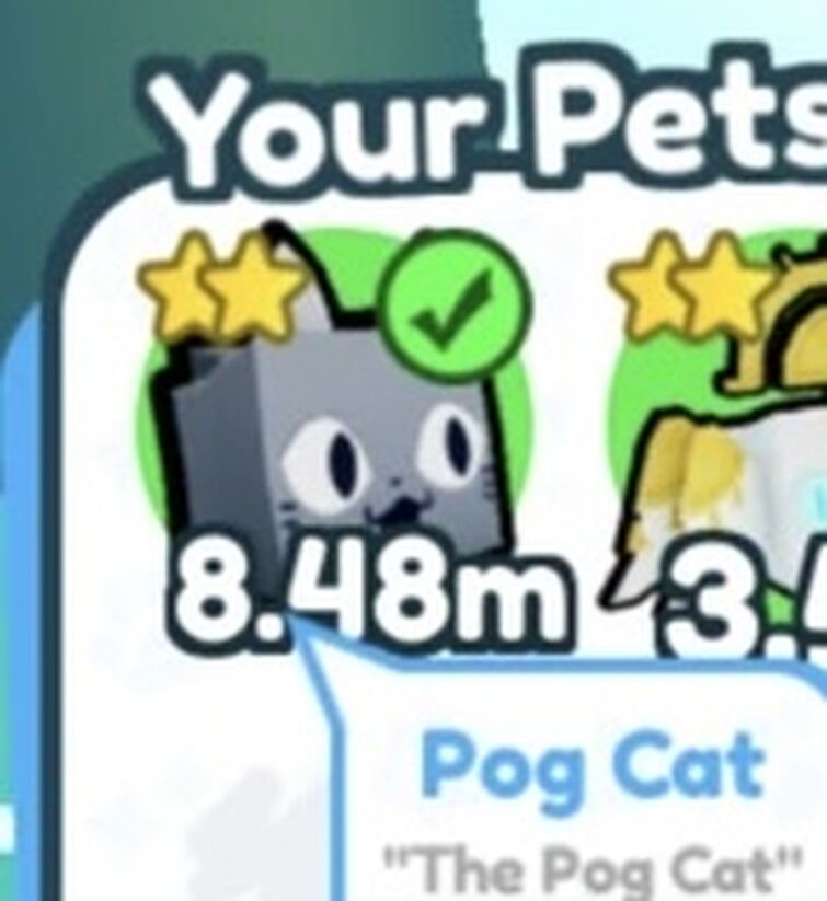 Pog Cat Value - Pet Simulator X