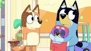 Bluey July 27, 2024; 1:00am
