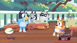 2022-05-28 0630am Bluey